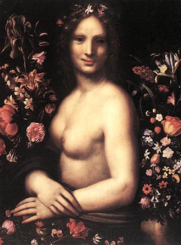 PROCACCINI, Carlo Antonio Flora ag France oil painting art